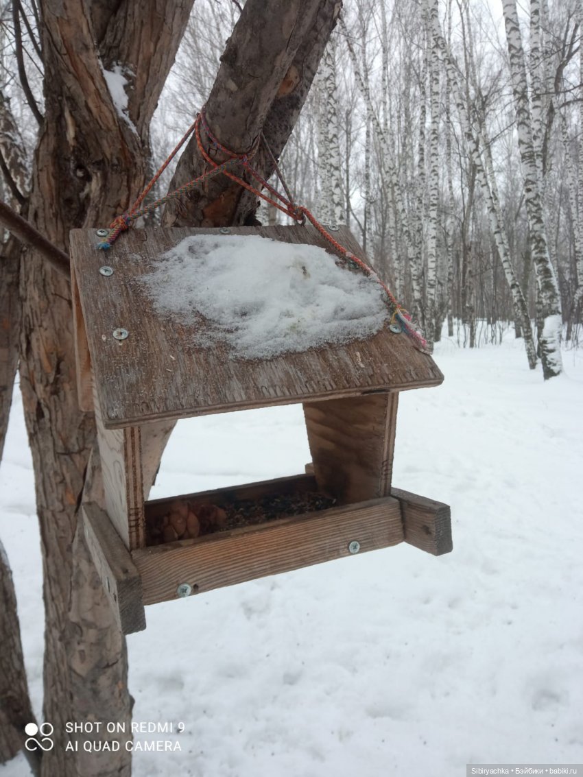 Тайны природы и неожиданные сюрпризы для малышей