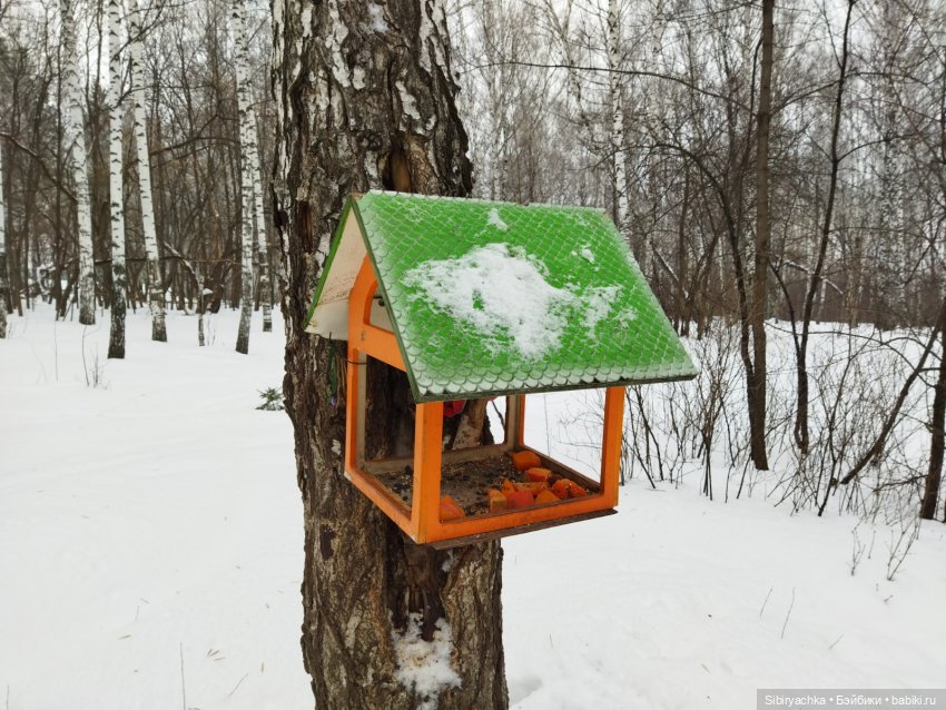 Тайны природы и неожиданные сюрпризы для малышей