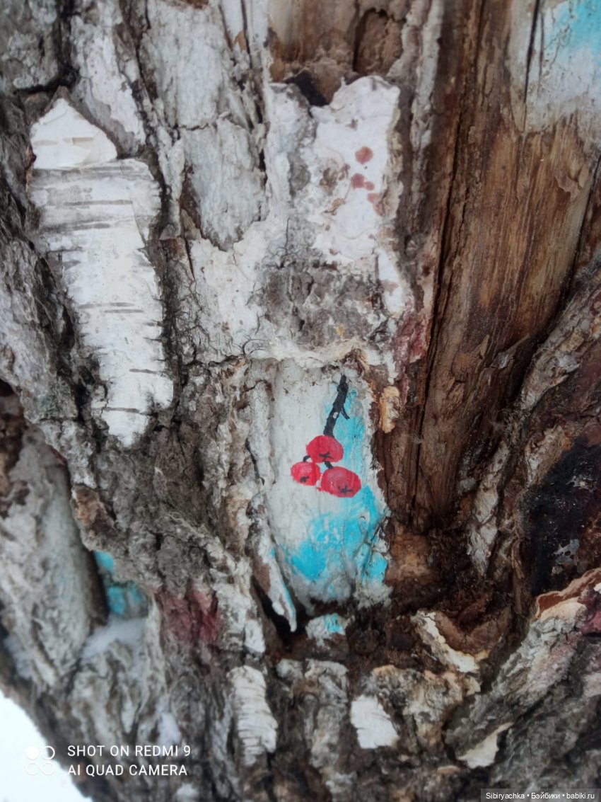 Тайны природы и неожиданные сюрпризы для малышей (фото 3)