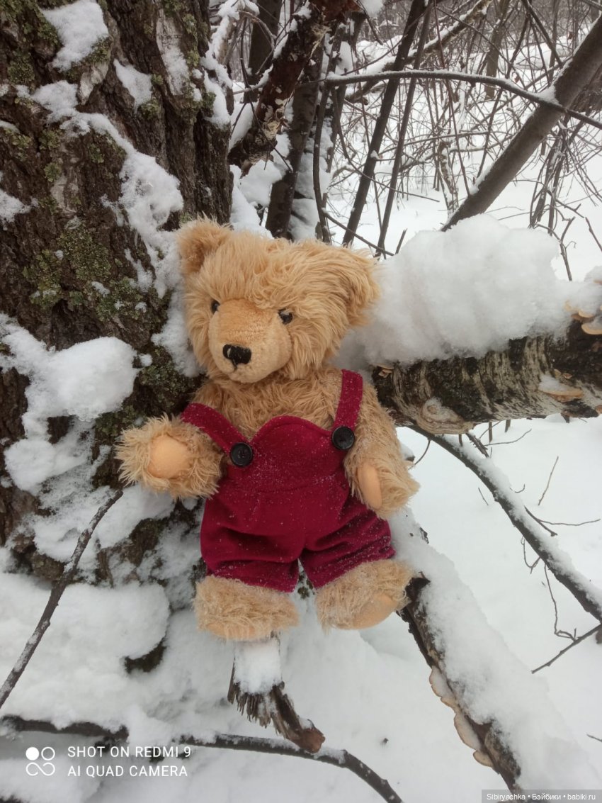 Михаил Потапович, Василёк и Лизонька (фото 2)