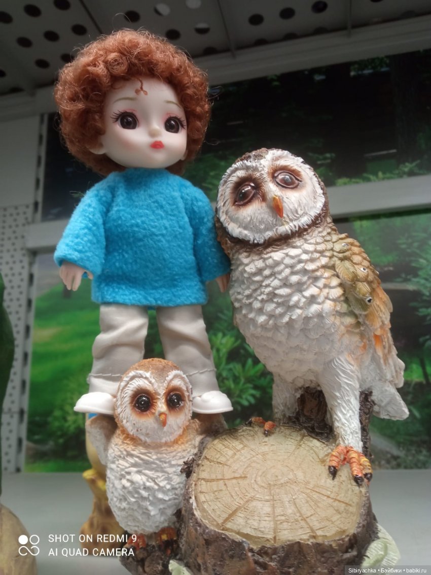 Цветочная сказка посреди зимы