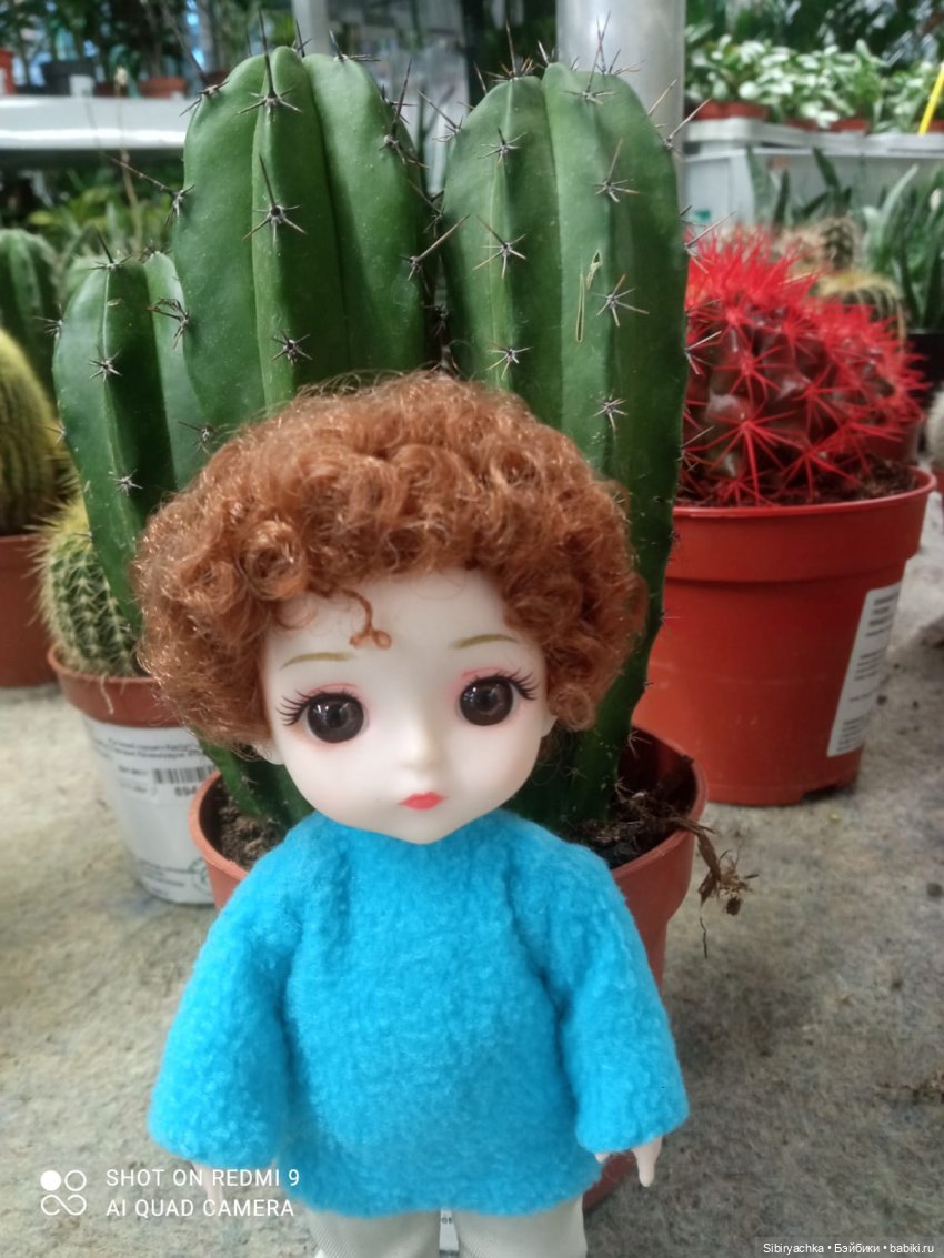 Цветочная сказка посреди зимы