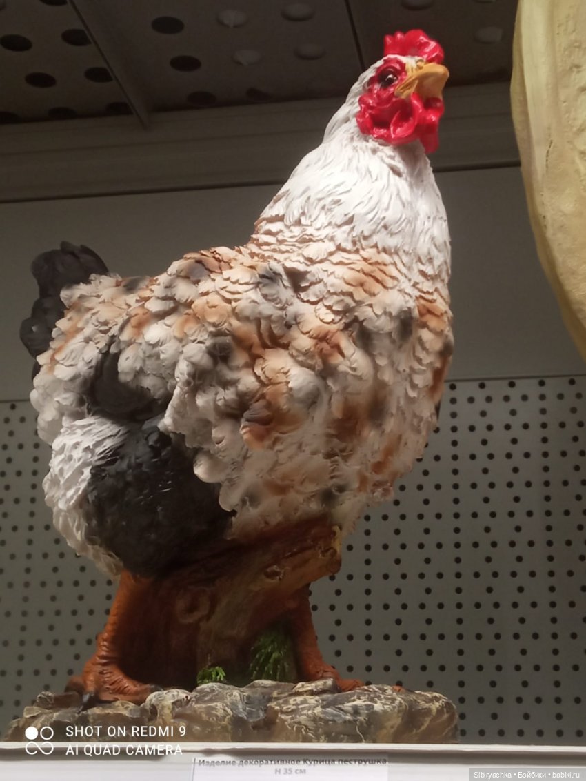 Цветочная сказка посреди зимы