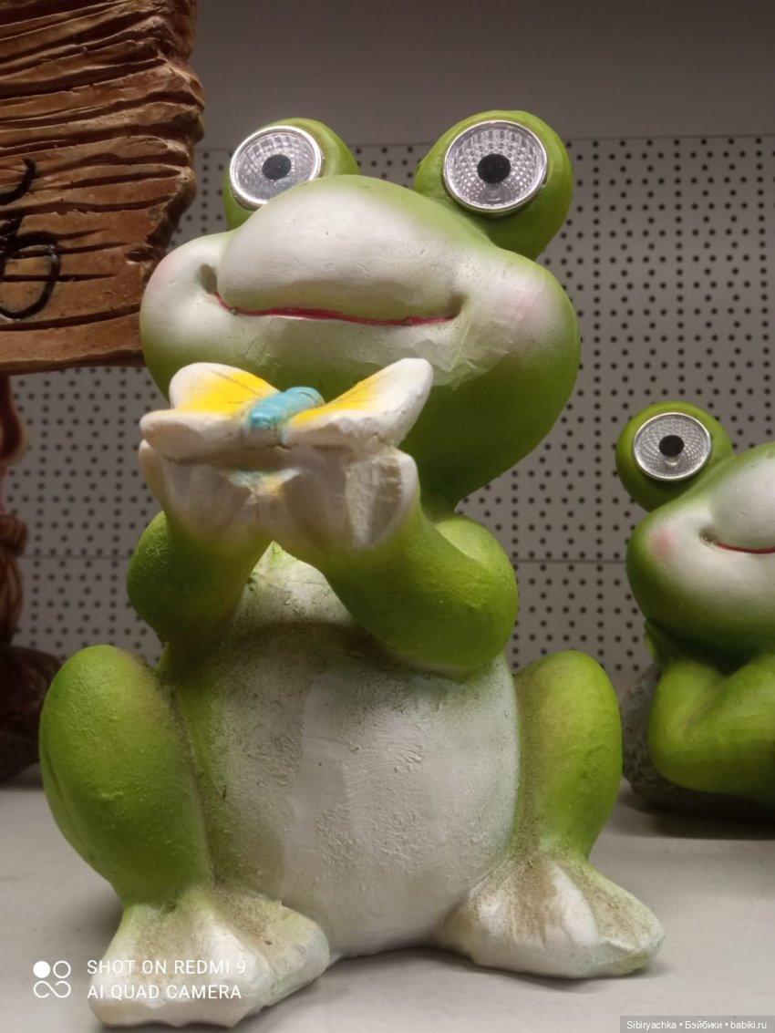 Цветочная сказка посреди зимы