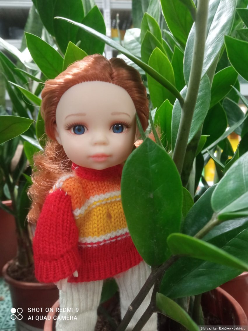 Цветочная сказка посреди зимы