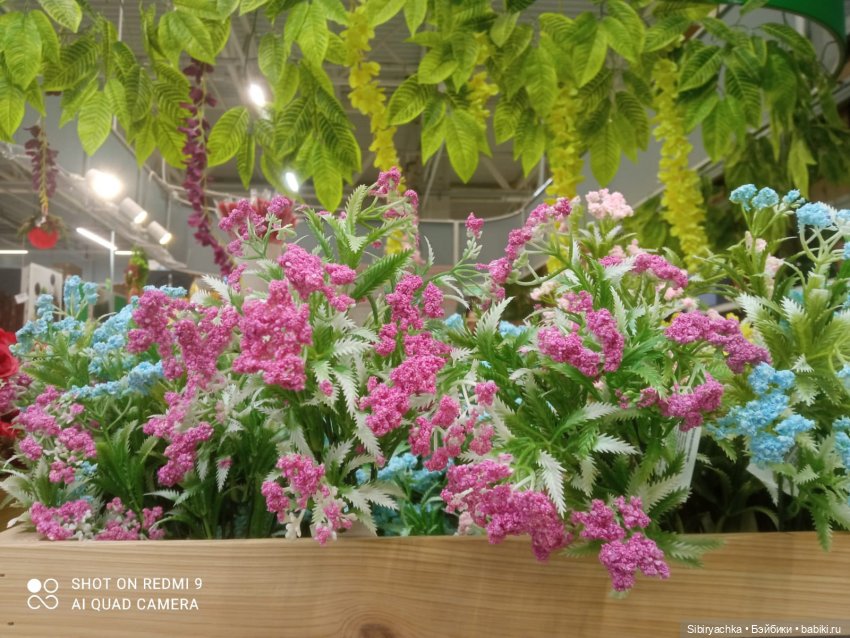 Цветочная сказка посреди зимы