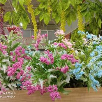 Цветочная сказка посреди зимы.