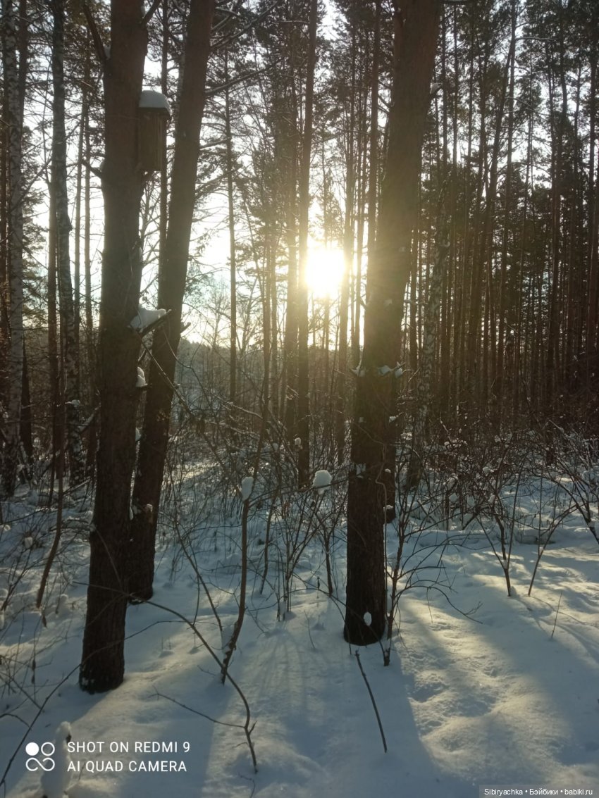 Как близнецы Вася и Тася в лесу гуляли (фото 7)