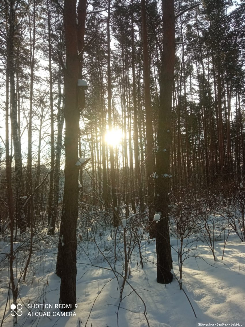 Как близнецы Вася и Тася в лесу гуляли (фото 6)