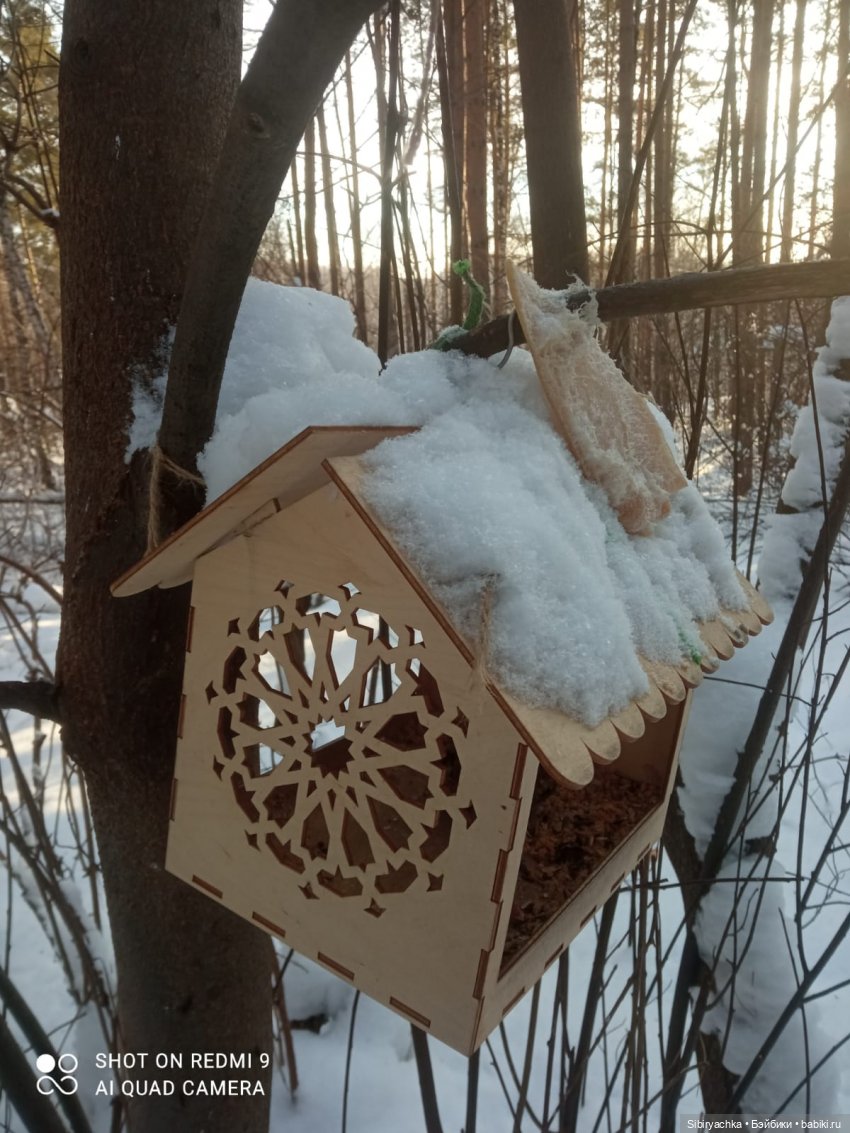 Как близнецы Вася и Тася в лесу гуляли (фото 9)