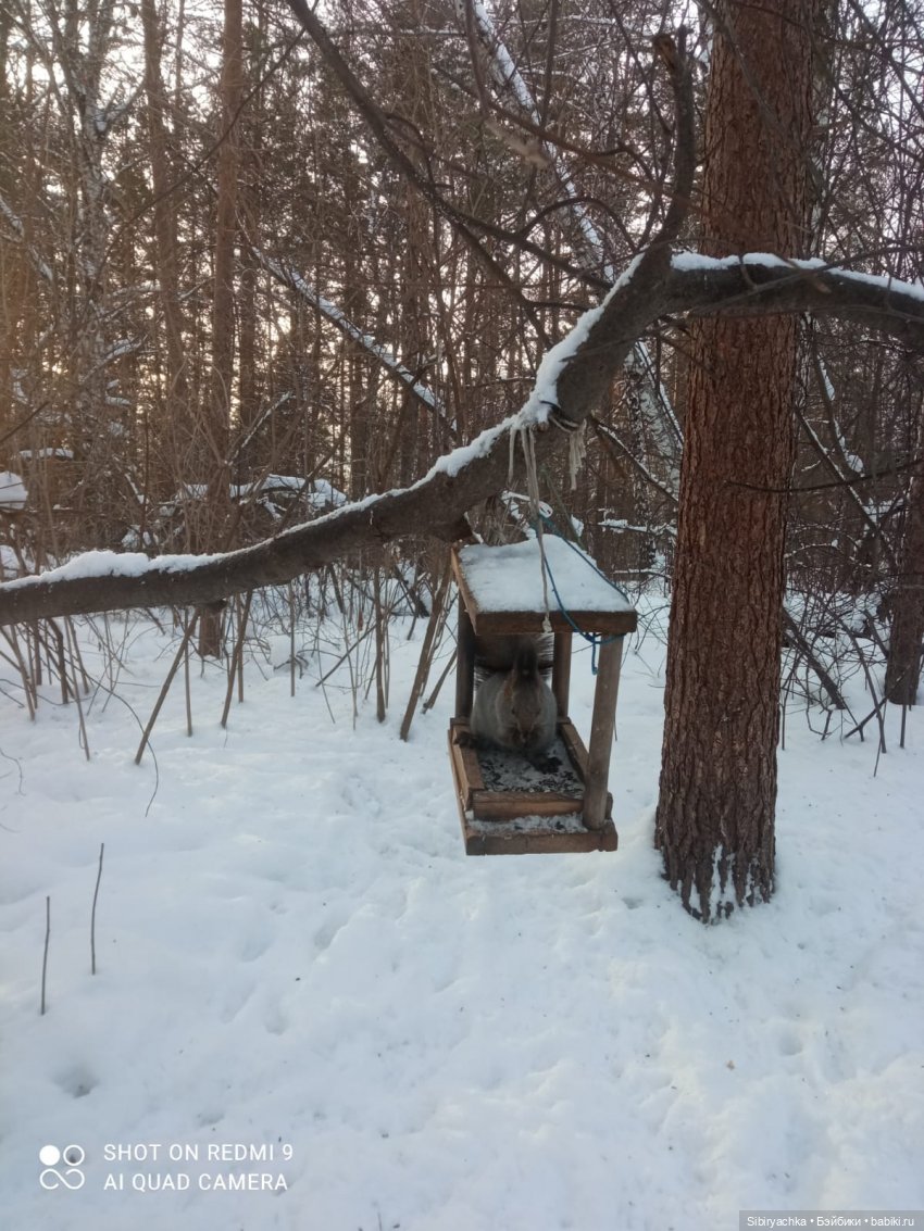 Как близнецы Вася и Тася в лесу гуляли