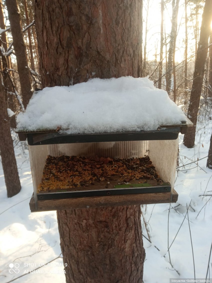 Как близнецы Вася и Тася в лесу гуляли (фото 8)