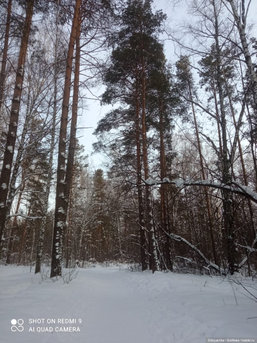 Как близнецы Вася и Тася в лесу гуляли