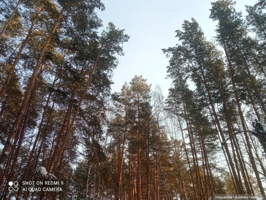 Как близнецы Вася и Тася в лесу гуляли (фото 5)