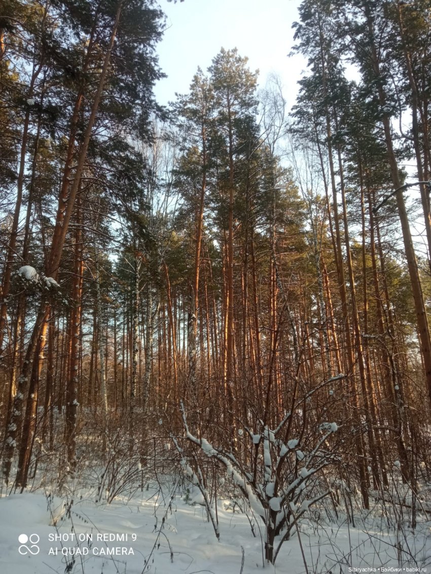 Как близнецы Вася и Тася в лесу гуляли (фото 3)