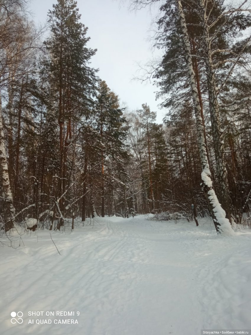 Как близнецы Вася и Тася в лесу гуляли