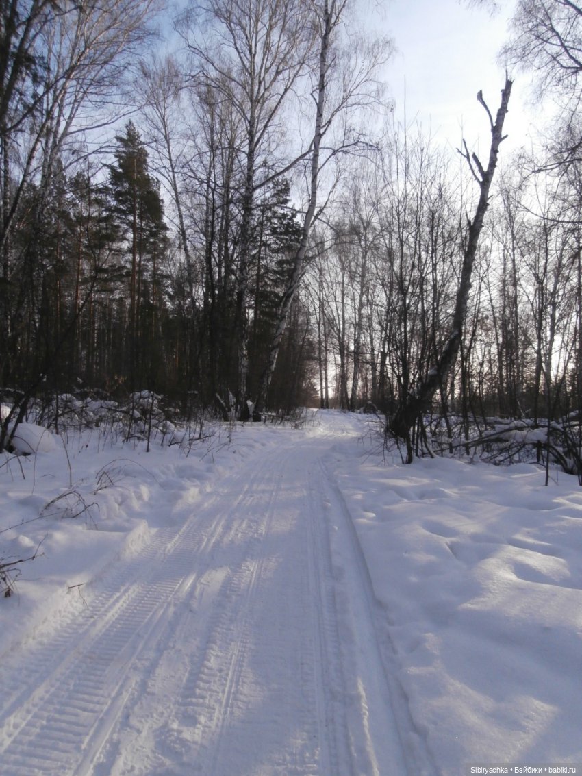 Прогулка Александра и близнецов Васи и Таси в лесу