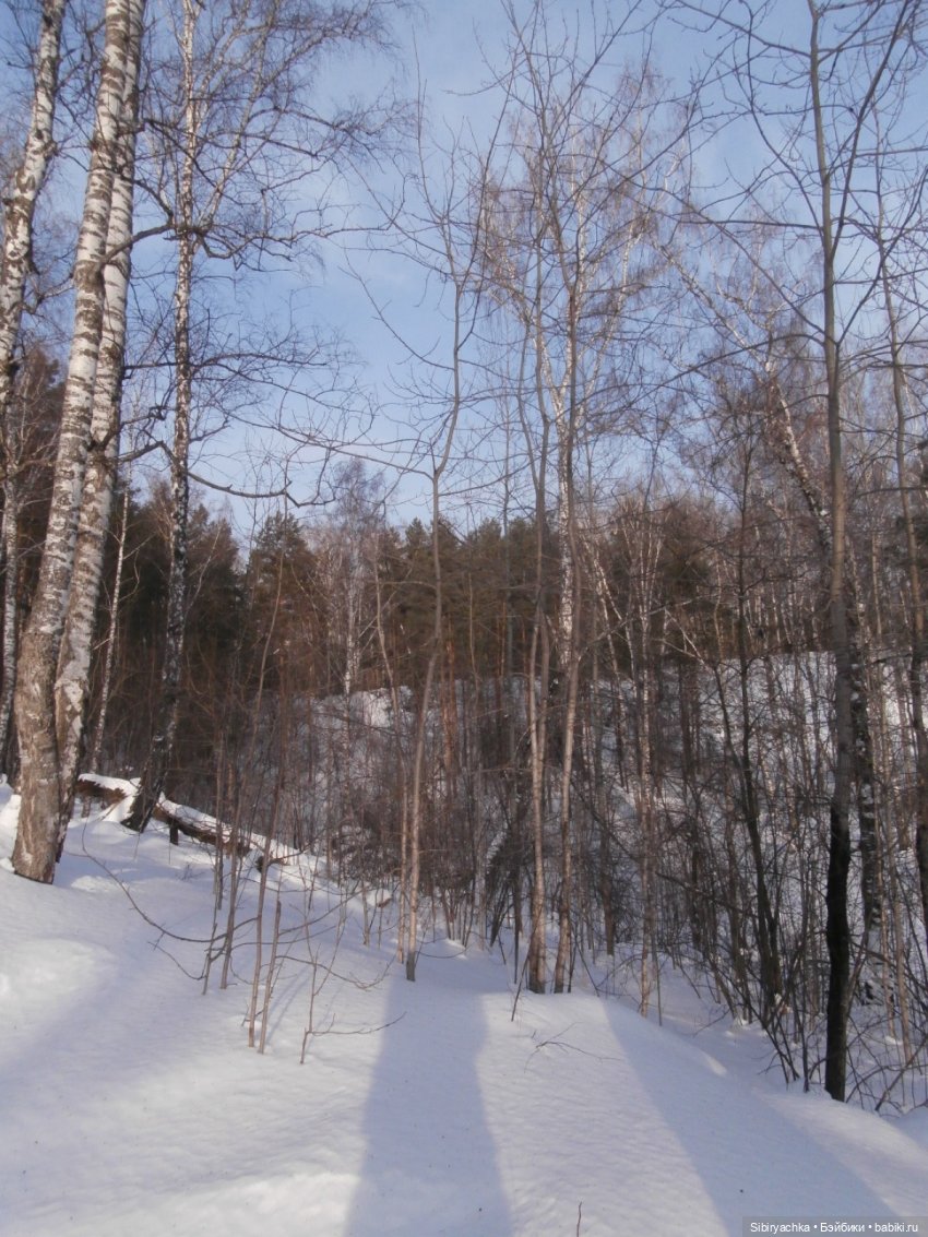 Прогулка Александра и близнецов Васи и Таси в лесу