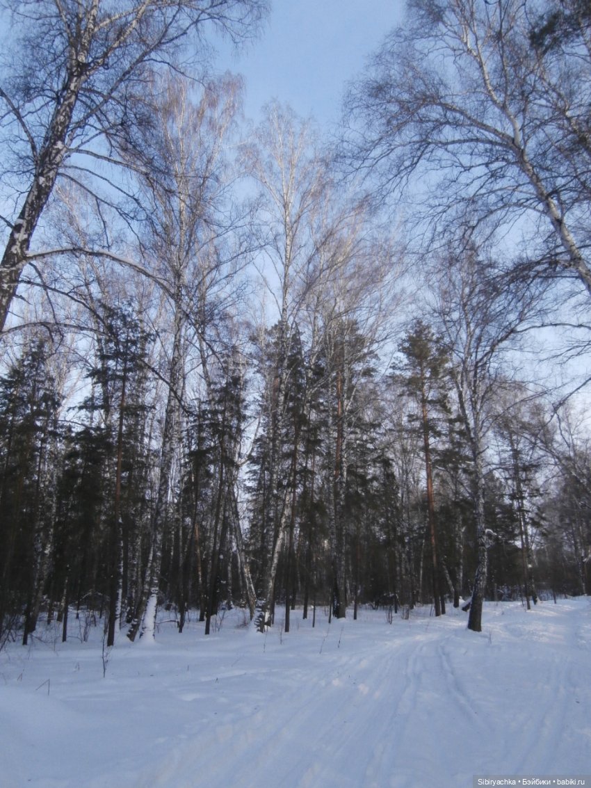 Прогулка Александра и близнецов Васи и Таси в лесу