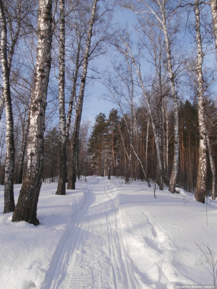 Прогулка Александра и близнецов Васи и Таси в лесу