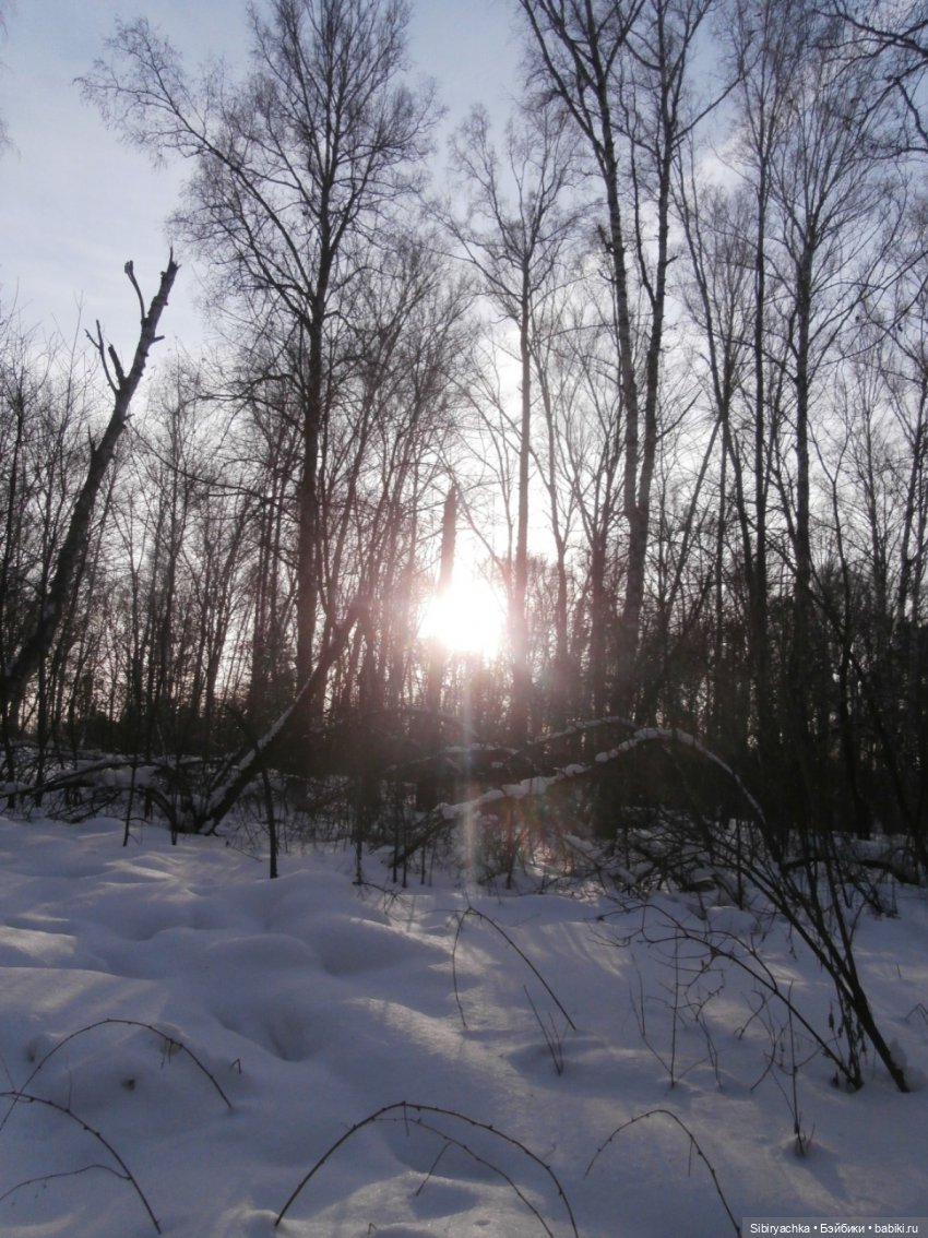 Прогулка Александра и близнецов Васи и Таси в лесу