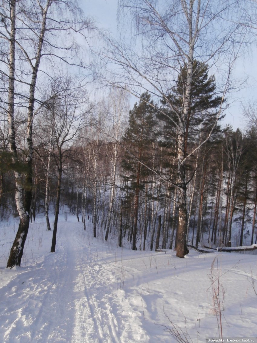 Прогулка Александра и близнецов Васи и Таси в лесу