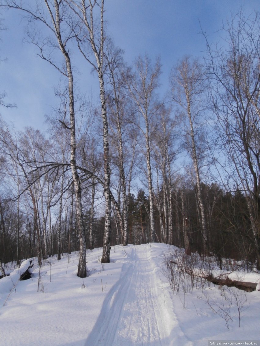 Прогулка Александра и близнецов Васи и Таси в лесу