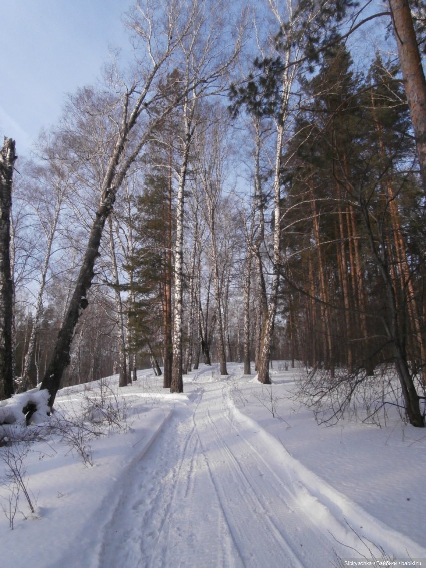 Прогулка Александра и близнецов Васи и Таси в лесу