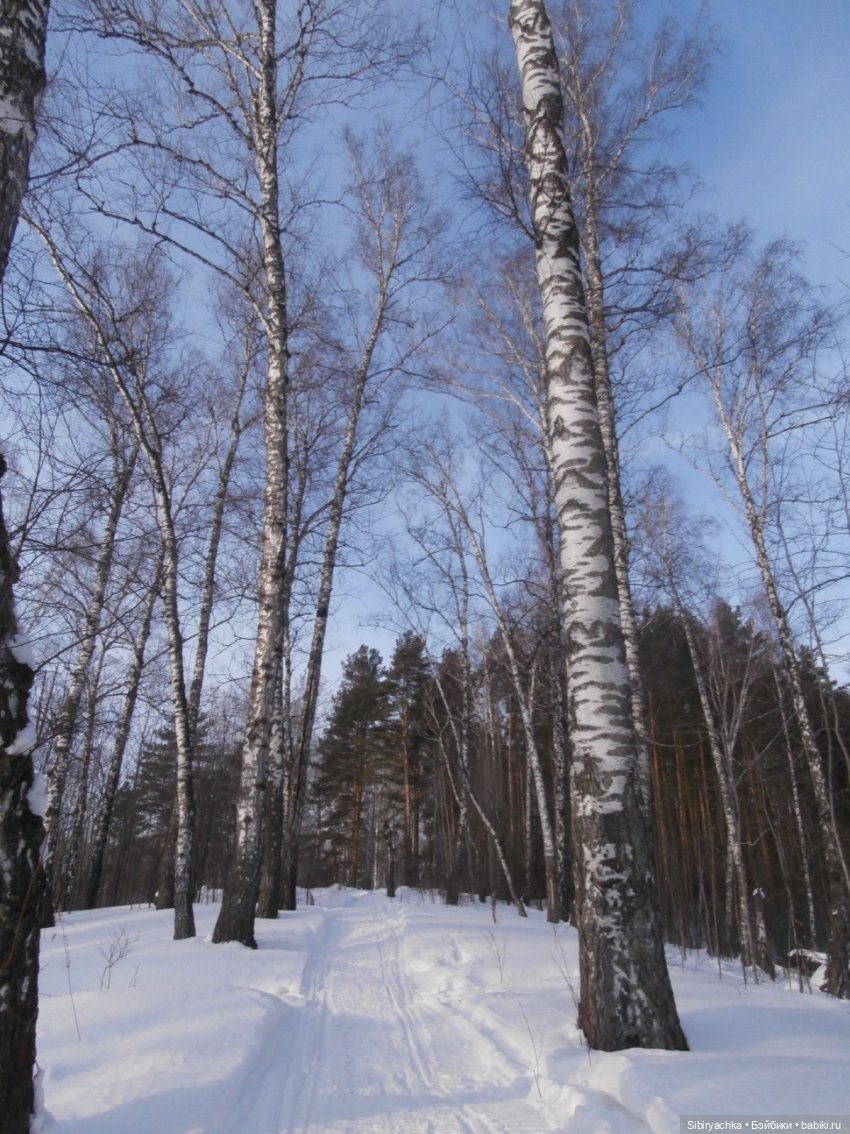 Прогулка Александра и близнецов Васи и Таси в лесу