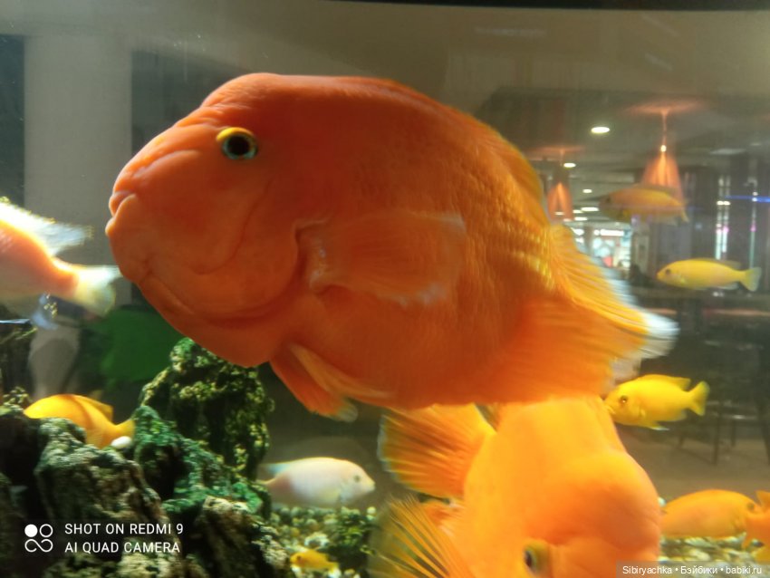 Яркое начало выходных у Таси и Васи (фото 6)