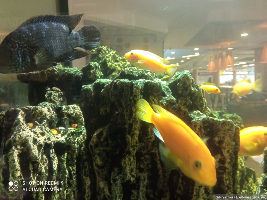 Яркое начало выходных у Таси и Васи (фото 10)