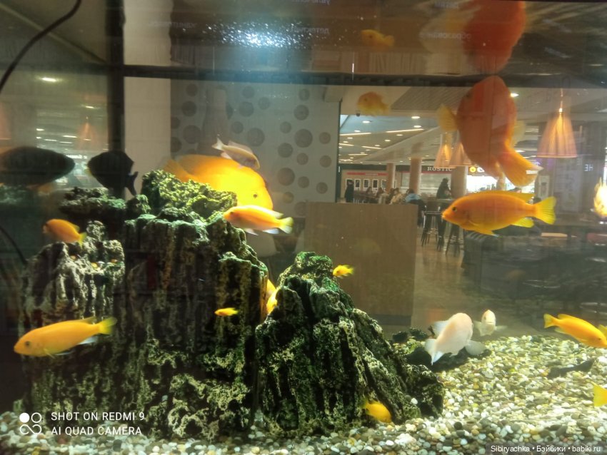 Яркое начало выходных у Таси и Васи