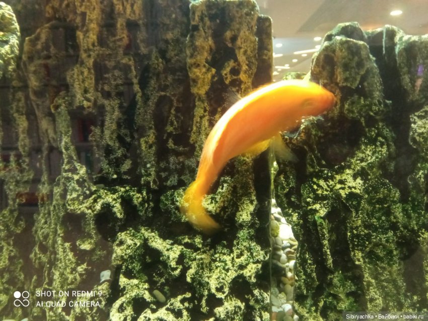 Яркое начало выходных у Таси и Васи (фото 9)