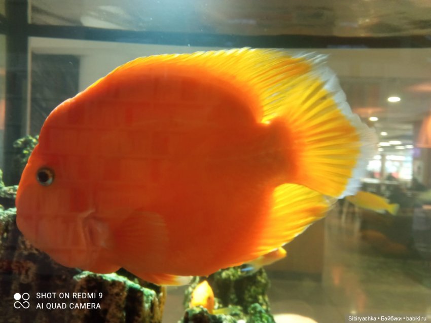 Яркое начало выходных у Таси и Васи (фото 7)