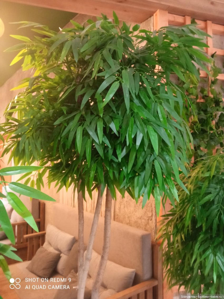 Яркое начало выходных у Таси и Васи