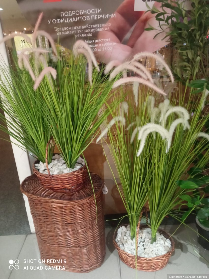 Яркое начало выходных у Таси и Васи