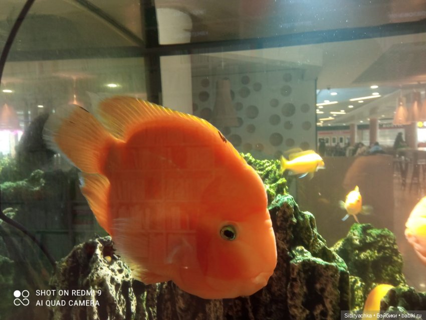 Яркое начало выходных у Таси и Васи