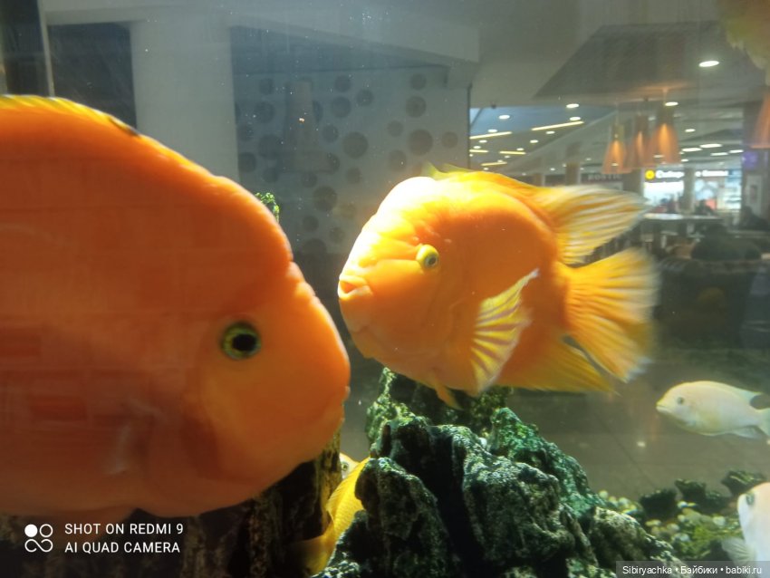 Яркое начало выходных у Таси и Васи (фото 8)