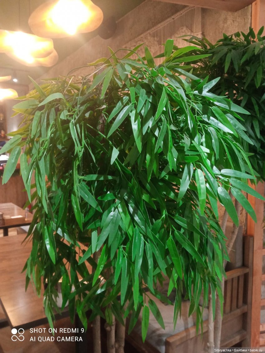 Яркое начало выходных у Таси и Васи