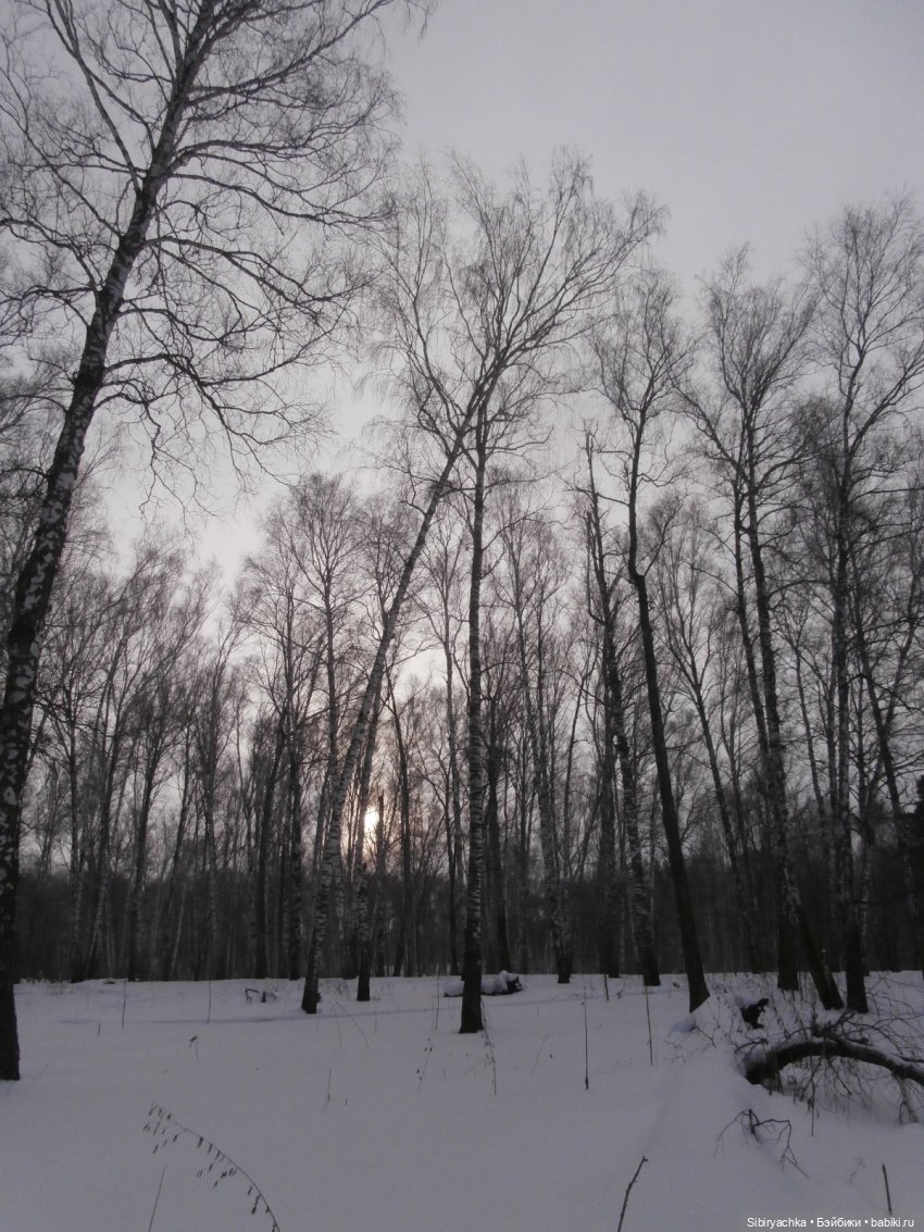 Лизонька в лесу — Игровые куклы разных производителей (Разное): редкие бренды