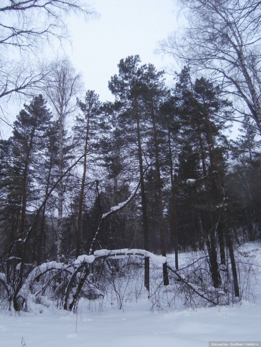 Лизонька в лесу — Игровые куклы разных производителей (Разное): редкие бренды