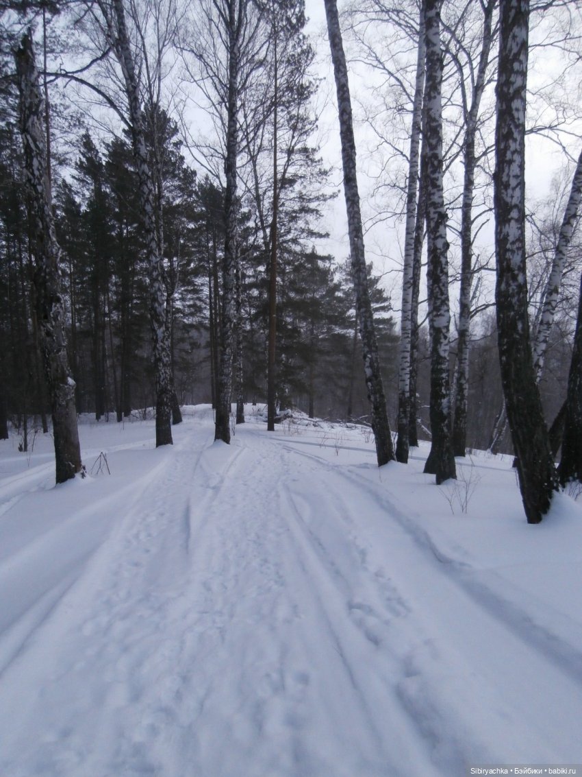 Лизонька в лесу — Игровые куклы разных производителей (Разное): редкие бренды