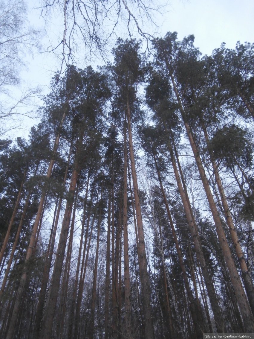 Лизонька в лесу — Игровые куклы разных производителей (Разное): редкие бренды