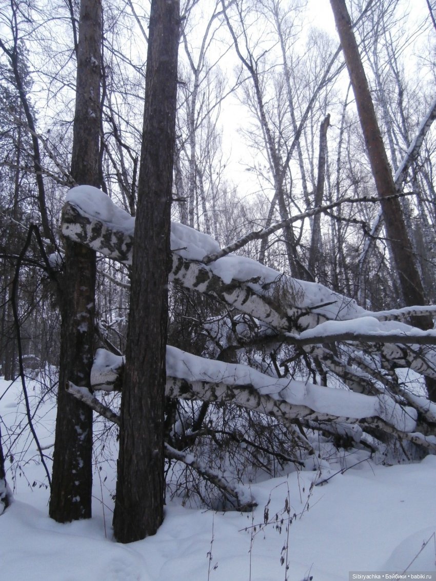 Лизонька в лесу — Игровые куклы разных производителей (Разное): редкие бренды