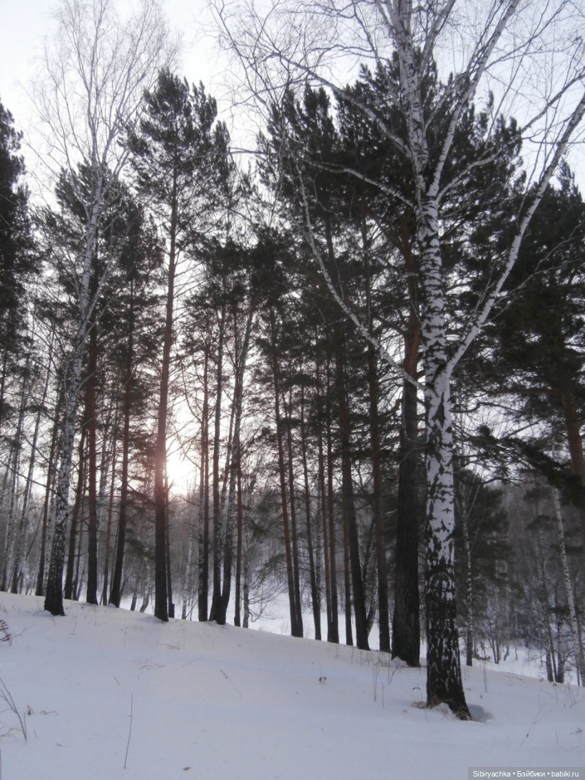 Лизонька в лесу — Игровые куклы разных производителей (Разное): редкие бренды