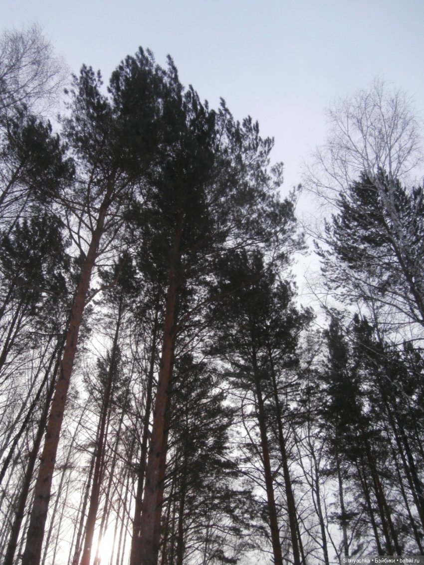 Лизонька в лесу — Игровые куклы разных производителей (Разное): редкие бренды (фото 5)