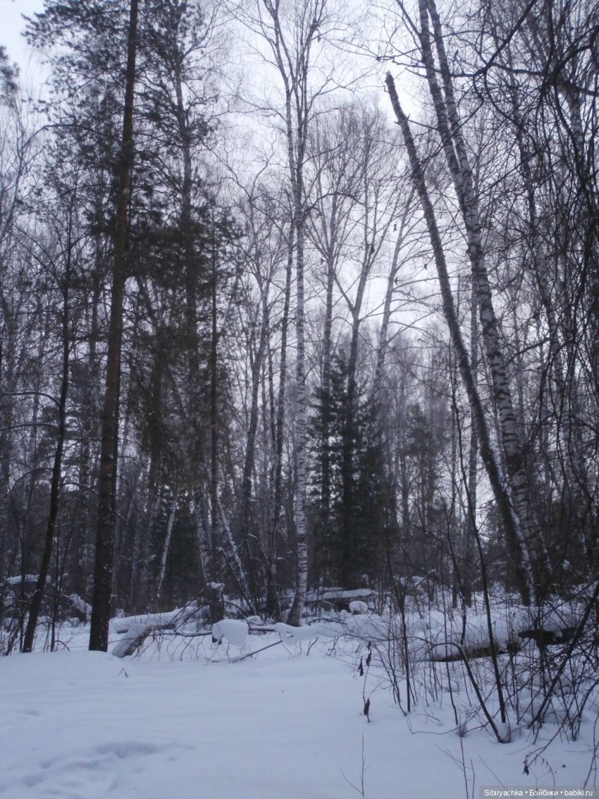 Лизонька в лесу — Игровые куклы разных производителей (Разное): редкие бренды