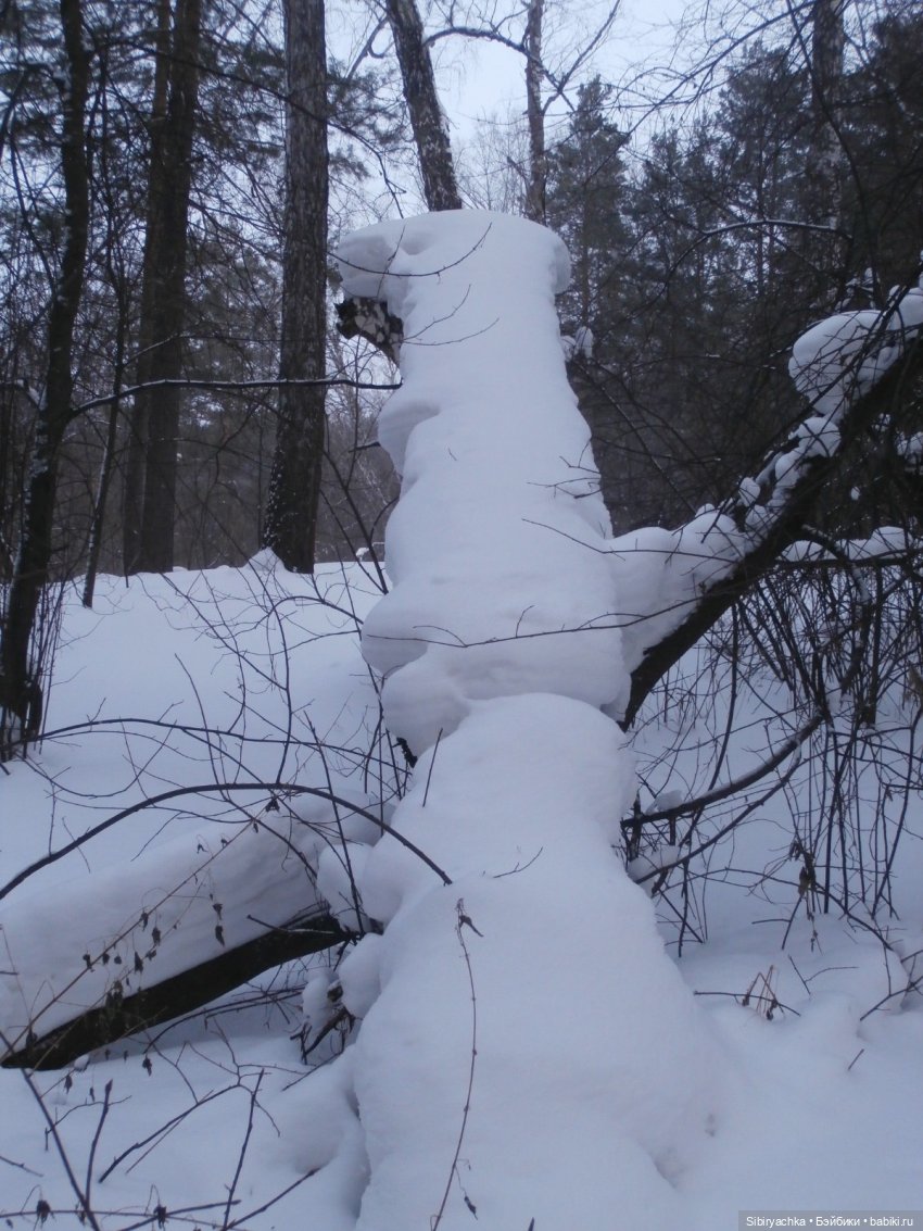 Лизонька в лесу — Игровые куклы разных производителей (Разное): редкие бренды