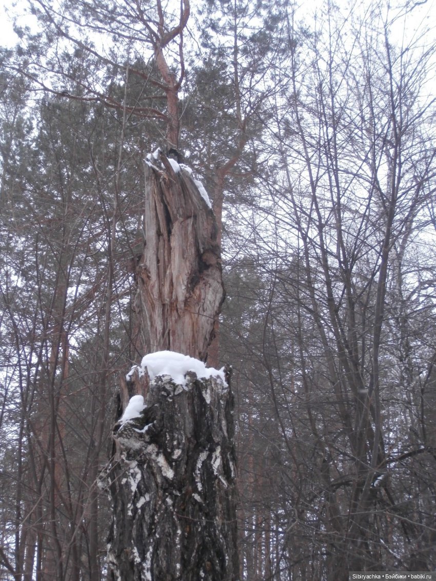 Лизонька в лесу — Игровые куклы разных производителей (Разное): редкие бренды (фото 9)