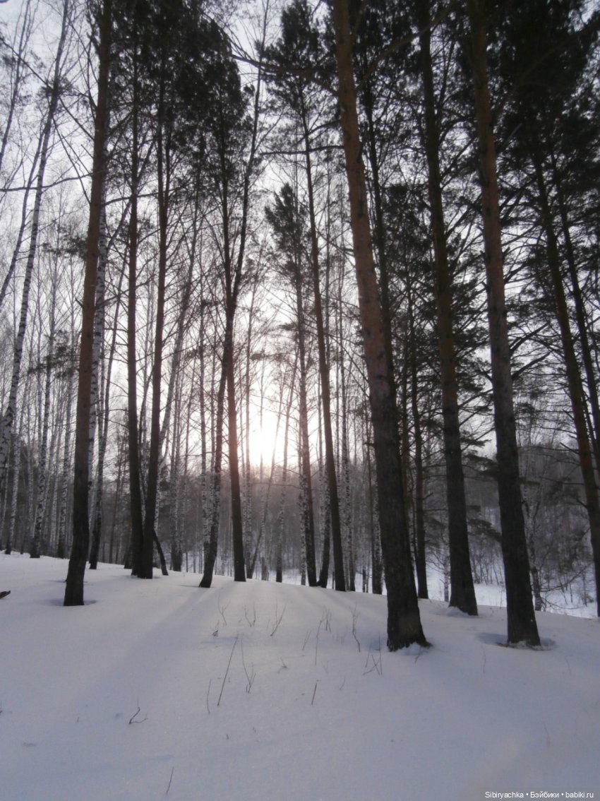Лизонька в лесу — Игровые куклы разных производителей (Разное): редкие бренды (фото 7)